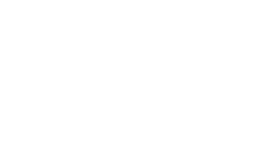 Links Medical Products Inc.